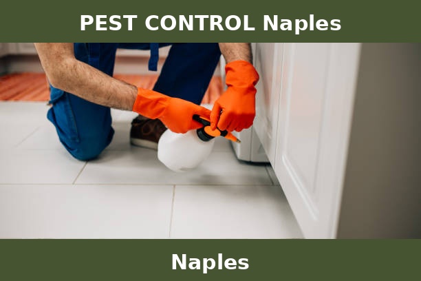 PEST CONTROL Naples